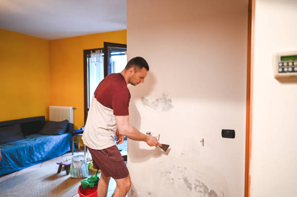 Best Professional Mold Removal  in Stiles, PA